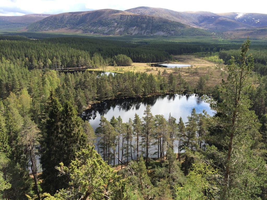 Riverbank Lodge Aviemore Exteriör bild